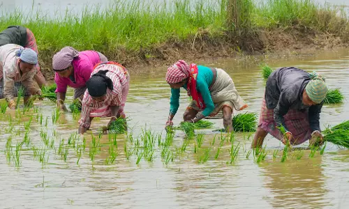 Four Farmers from AP Bag ISHA Foundation Awards