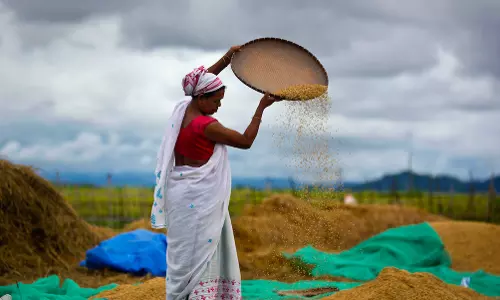 1,000 Cusecs of Water to Be Released for Paddy from 1 August: Nandyal IAB Meeting
