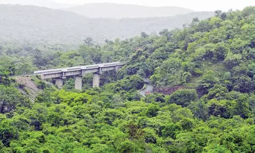 Andhra Pradesh: Trained Elephants to Patrol Nallamala Forest Soon
