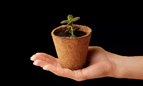 AP CBC Chief Promotes Green Cause