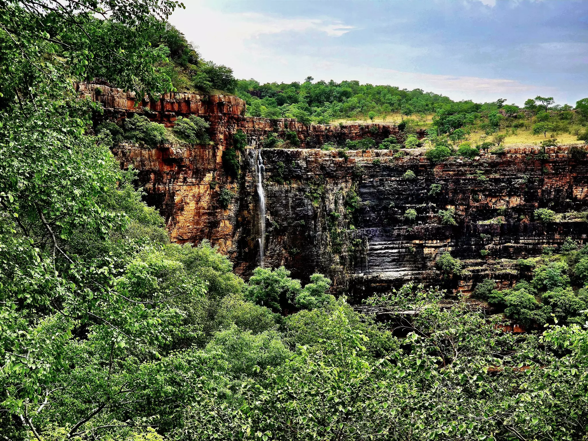 Andhra Pradesh: Ban on Visiting Tourist Spots, Temples in Nallamala Till Aug. 31 Andhra Pradesh: Ban on Visiting Tourist Spots, Temples in Nallamala Till Aug. 31