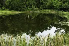 Water levels rise in Vizag water bodies