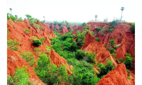 Andhra Pradesh: Bheemili society issues show cause notice on Erramatti Dibbalu