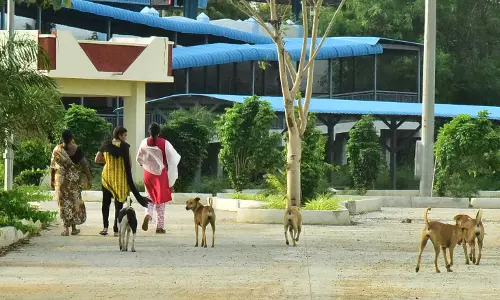 Dog that terrorised Balanagar caught