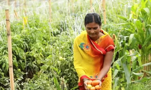 AP Records CAGR of 8.8% in Agri, Allied Sectors