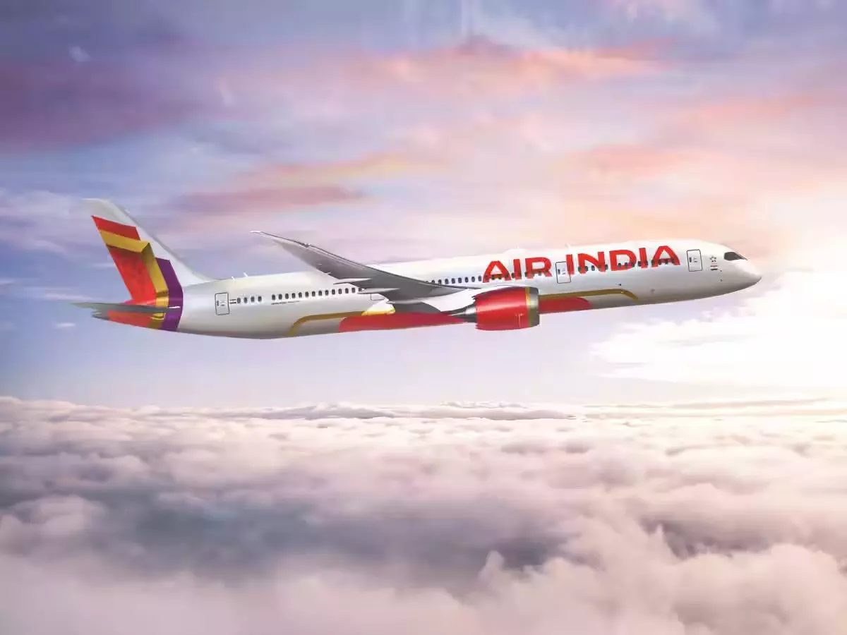 Air India passenger finds cockroach in food served on Delhi-New York flight; airline expresses concern Air India passenger finds cockroach in food served on Delhi-New York flight; airline expresses concern