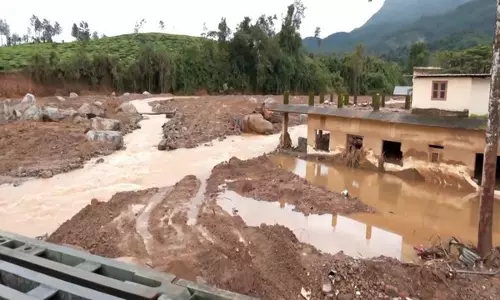 Kerala govt approved several projects in Wayanad without comprehensive environmental review: Sources