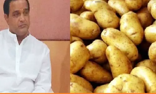Potato Shortage Hits Odisha, Prices Surge to Rs 50 per Kilo