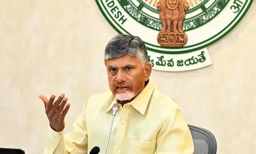 Andhra Pradesh Cabinet Amends Laws, Extends Maoist Ban