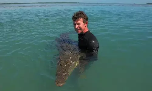 UK Crocodile Expert Jailed in Australia for Animal Cruelty and Abuse