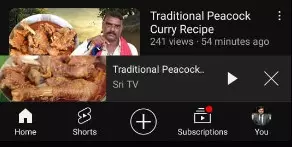 YouTuber posts peacock curry recipe, faces backlash YouTuber posts peacock curry recipe, faces backlash