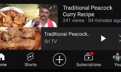 YouTuber posts peacock curry recipe, faces backlash