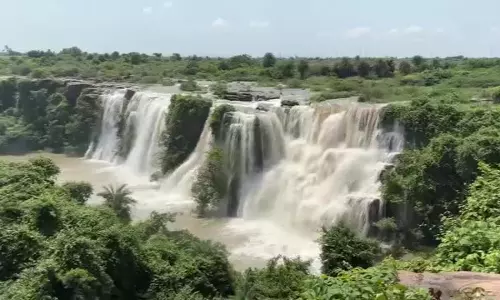 AP: Discover the Stunning Etthipothala Waterfall in Palnadu
