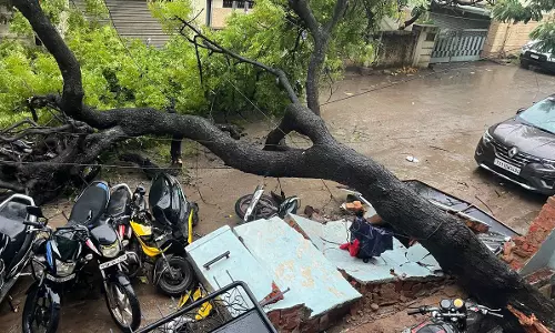 Trees Uprooted After Heavy Rain in Musheerabad