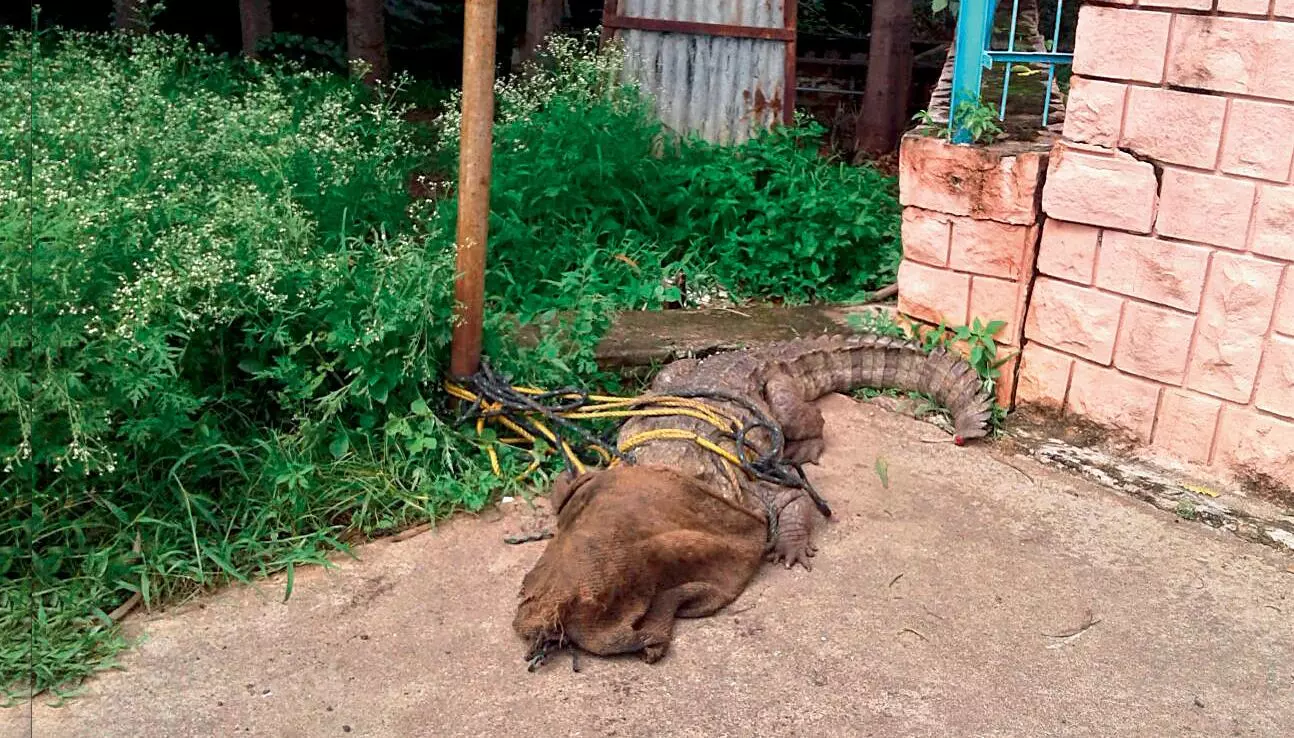 IAS Team Visits Manjeera Sanctuary IAS Team Visits Manjeera Sanctuary