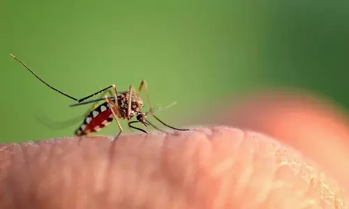 Hyderabad: Schools and parents press panic button as dengue cases rise