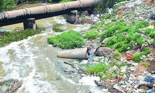 HYDRAA Goes on Full Steam to Protect Lakes