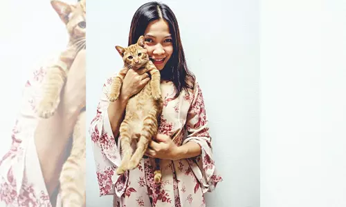 A Clarion ‘CatCall’ A Clarion ‘CatCall’