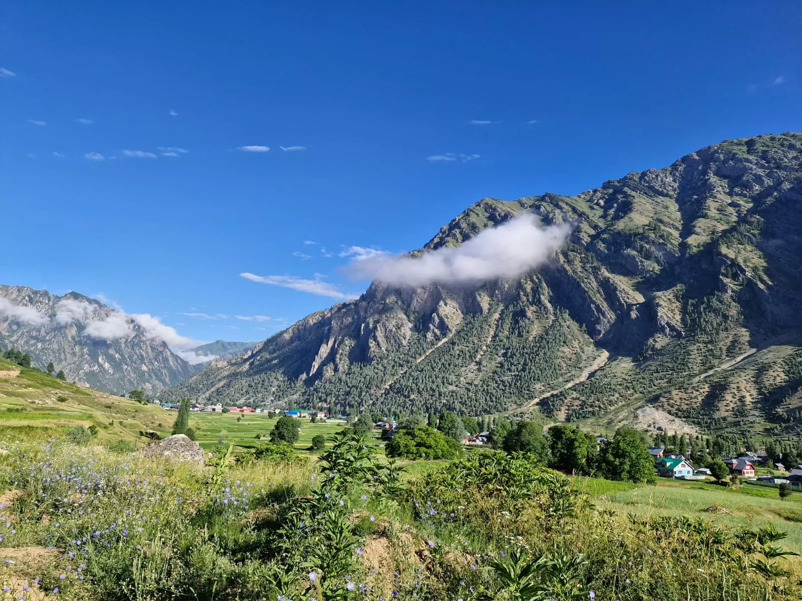 Gurez - finding its identity in the tourism map Gurez - finding its identity in the tourism map