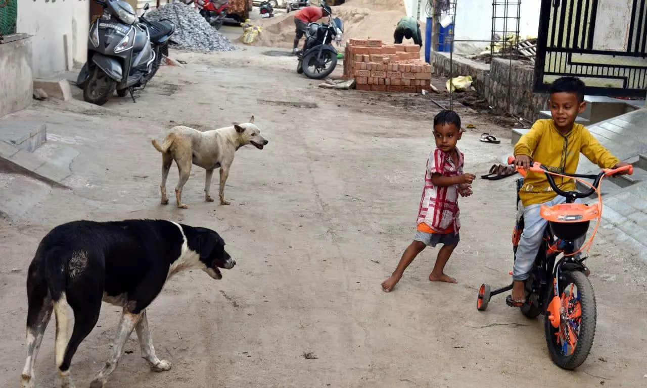 DC Photojournalists Bag Prizes in State-level Competition