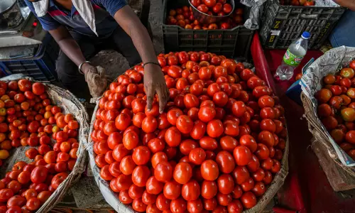 Tomato at ₹15/kg, Farmers Dump Stock in Protest