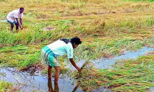 Heavy Rains Disrupt Road Connectivity and Inundate Crops in Adilabad