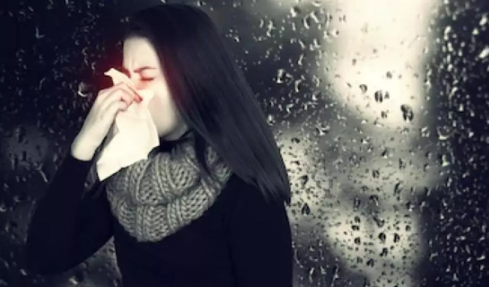 Concerns Grow Over Seasonal Diseases: Study Concerns Grow Over Seasonal Diseases: Study