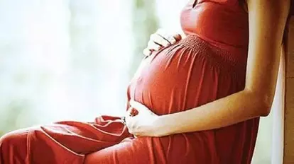Bodily autonomy is fundamental right, says HC; allows woman to terminate 22-week pregnancy from live-in Bodily autonomy is fundamental right, says HC; allows woman to terminate 22-week pregnancy from live-in
