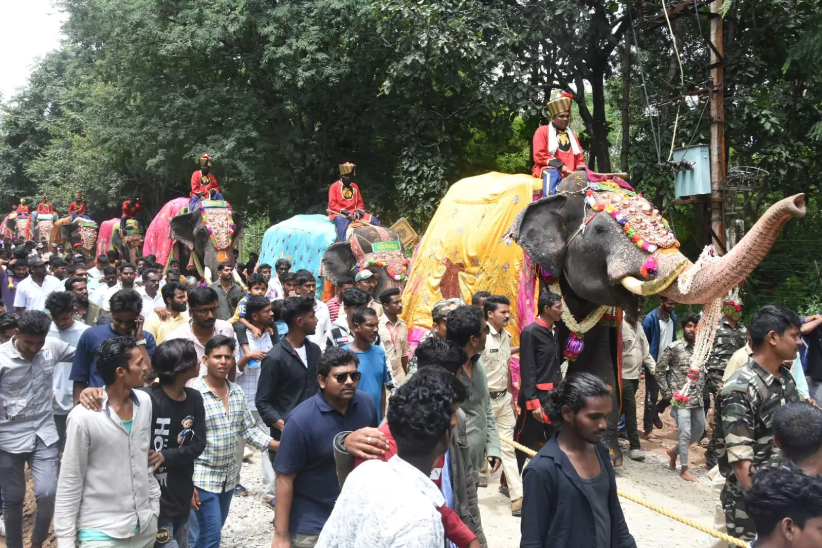 First Batch of Dasara Elephants Reach Mysuru First Batch of Dasara Elephants Reach Mysuru