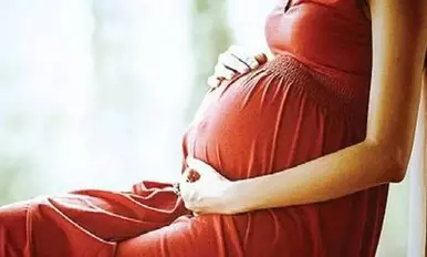 Bodily autonomy is fundamental right, says HC; allows woman to terminate 22-week pregnancy from live-in