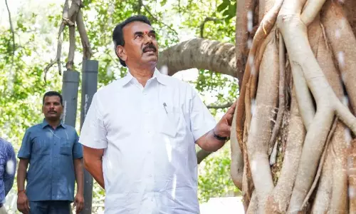 Jupally Reopens Pillalamarri, Announces Rs.5 Crore Package