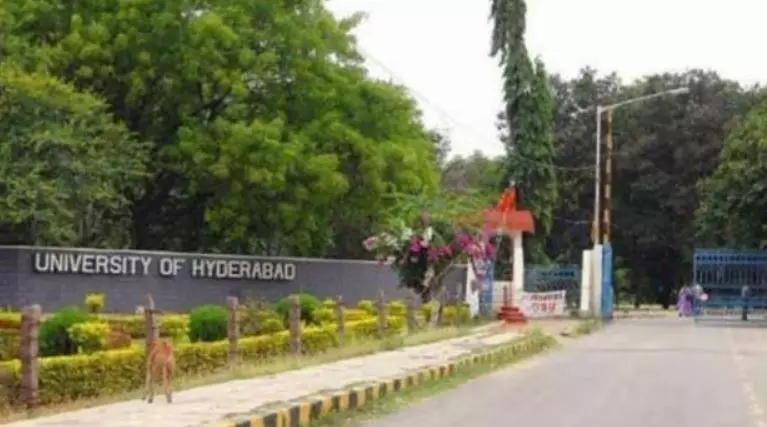 IWE Online crosses 1 lakh clicks IWE Online crosses 1 lakh clicks