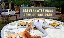 Tirupati Zoo’s Nocturnal House to Open With TTD Funding Boost Tirupati Zoo’s Nocturnal House to Open With TTD Funding Boost