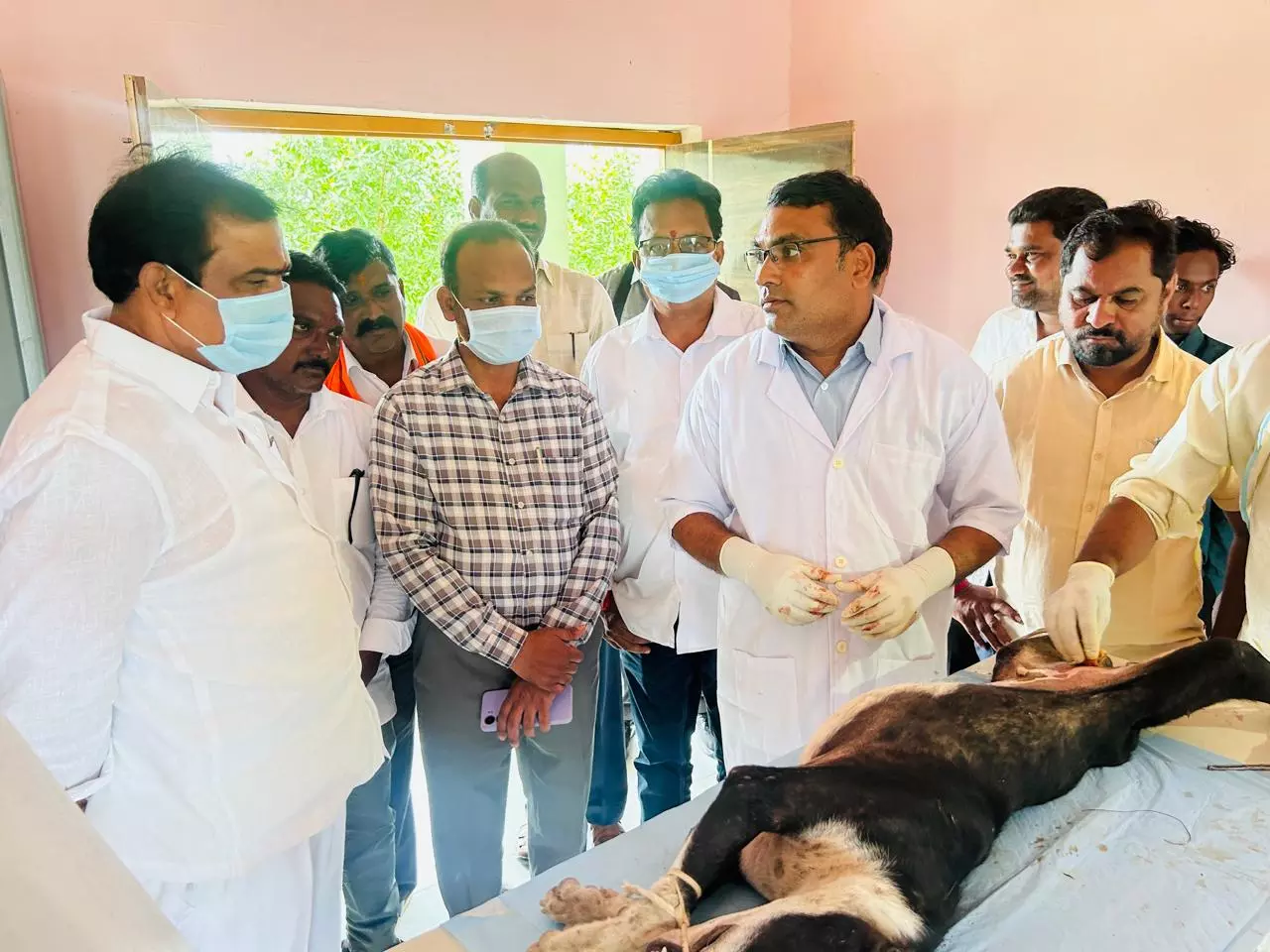 Adilabad civic body begins sterilisation of strays Adilabad civic body begins sterilisation of strays