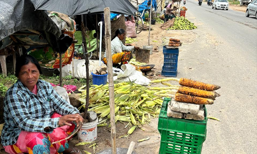 Nizamabad: Roasted corn cobs, boiled kernels turn ubiquitous