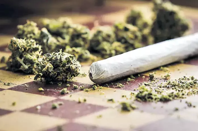 Five ganja peddlers arrested in Hyderabad