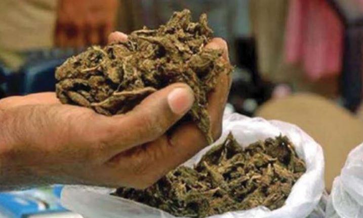 Hyderabad: Ganja Peddler Detained; Student Marijuana Arrests