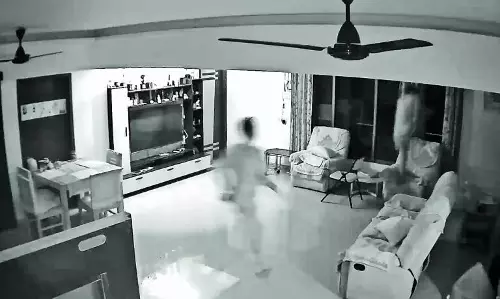 Thief breaks into Marathi directors Mumbai flat, runs away after pet cat raises alarm