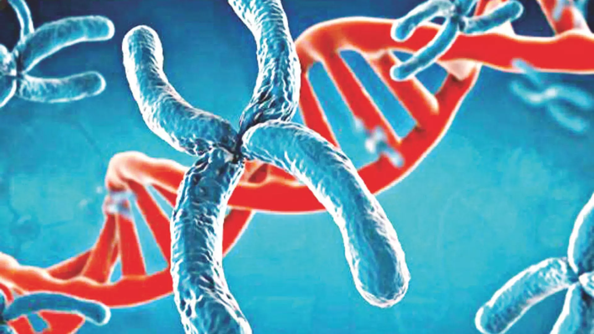 Y Chromosome Shrinking, Men May Go Extinct Y Chromosome Shrinking, Men May Go Extinct
