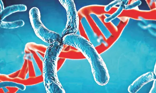 Y Chromosome Shrinking, Men May Go Extinct