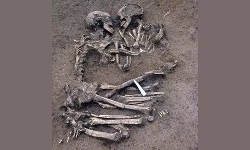 Skeletal remains of elderly couple, daughter found in house