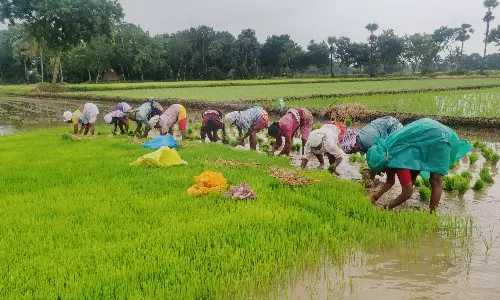 Agriculture Department Enlisting Names of Farmers Who Could not Avail Loan Waiver