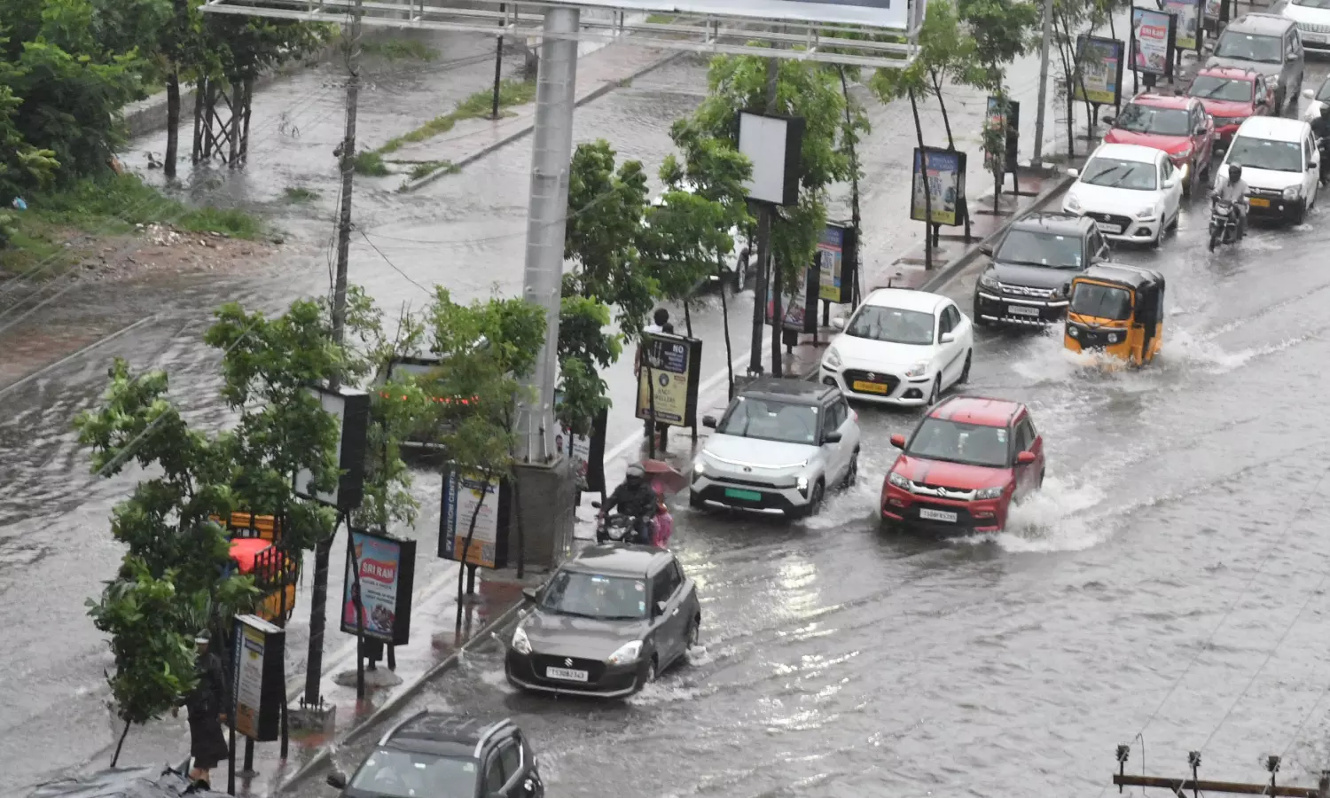 Rains help creeper plants multiply along Vizag roads