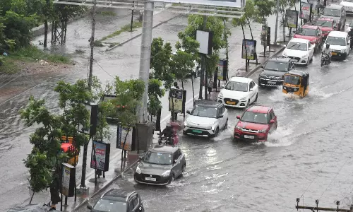 Rains help creeper plants multiply along Vizag roads
