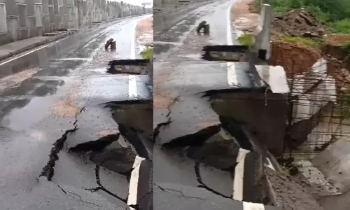 Telangana: Rain throws life out of gear in Nizamabad