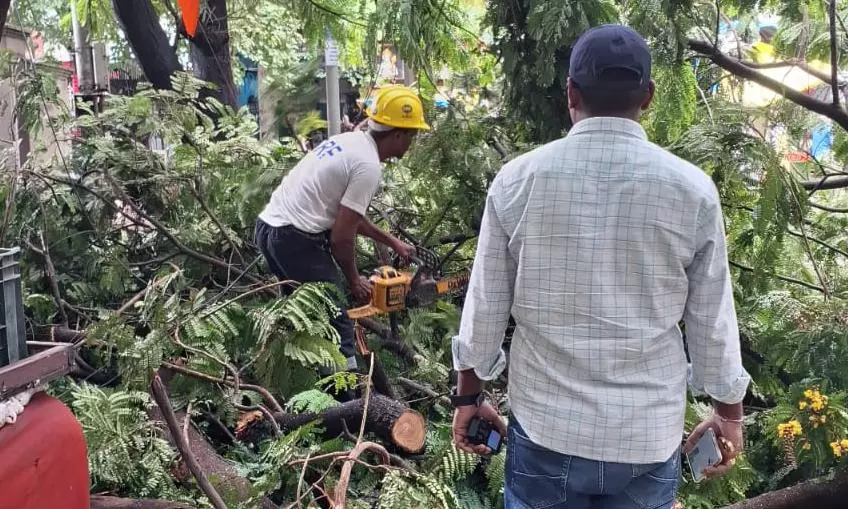 DRF clearing uprooted trees in rain-hit areas in Hyderabad DRF clearing uprooted trees in rain-hit areas in Hyderabad