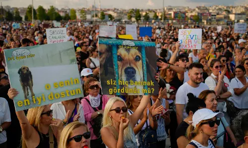 Thousands of Turks protest controversial law to remove stray dogs