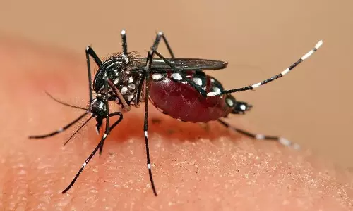 1,000 Dengue Cases in Telangana in Just 6 Days, Spike in Fever Cases