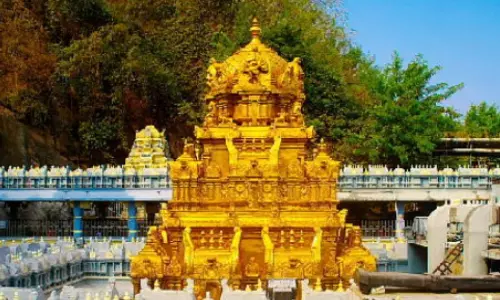 Durga Temple Priests Offer Prayers to Krishna