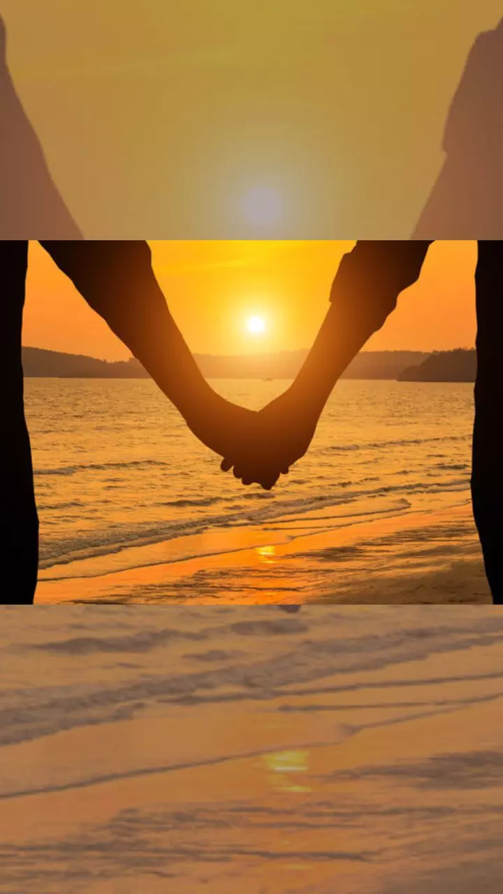 Who are Symbiosexuals, and what you need to know about Symbiosexuality